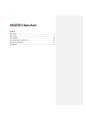 UNIDAD-1-TIPOS-DE-PIE.pdf