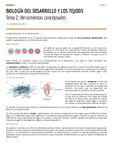 PAR1Tema-2-Herramientas-conceptuales.pdf