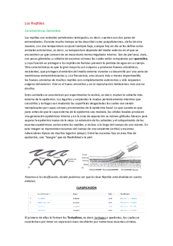 Reptiles.pdf