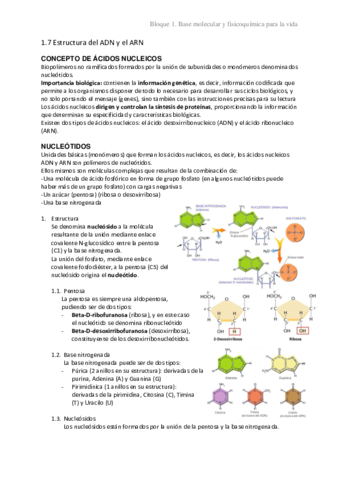 1.7 Estructura del ADN y el ARN