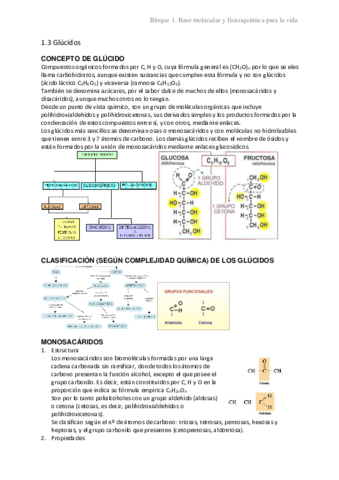 1.3 Glúcidos