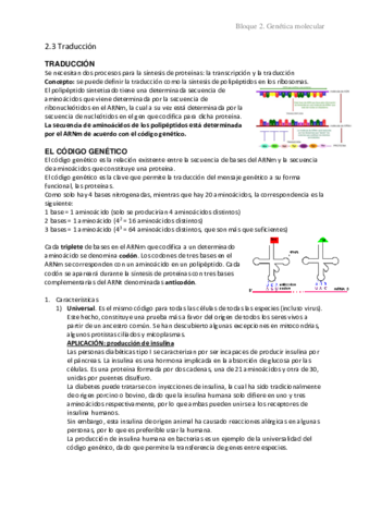 2.3 Traducción