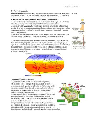 3.2 Flujo de energía