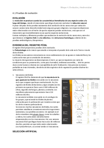 4.1 Pruebas de evolución