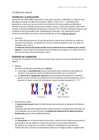 4.2 Selección natural