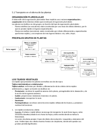 5.1 Transporte en xilema de las plantas
