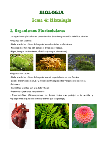 TEMA-4-HISTOLOGIA.pdf