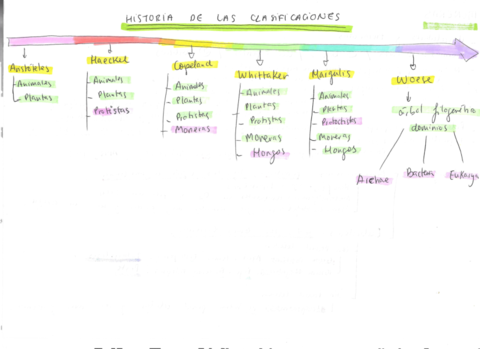 TEMA-5-CLASIFICACIÓN SERES VIVOS.pdf