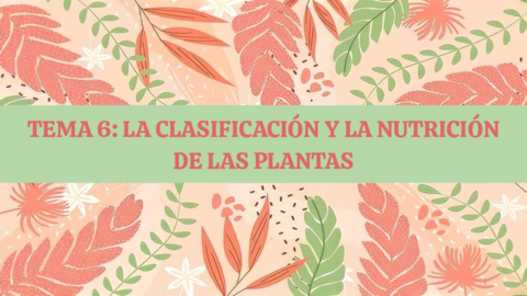 TEMA 6 Y 7 - LAS PLANTAS.pdf