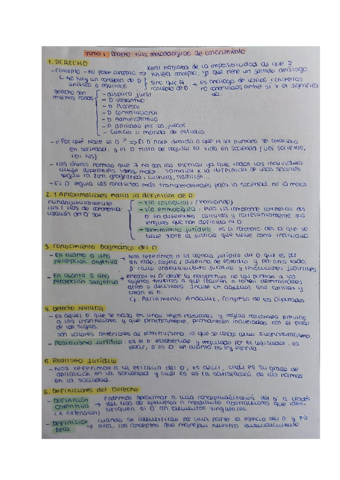 TEMA-1-FILOSOFIA-DEL-DERECHO-.pdf