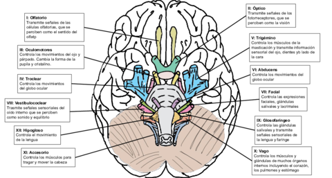 Dibujo-sin-titulo.pdf