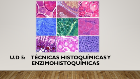 Tema-5-TAccnicas-HistoquAmicas-y-HistoenzimAticas.pdf