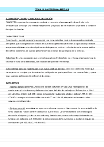 T13-La-persona-juridica-.pdf