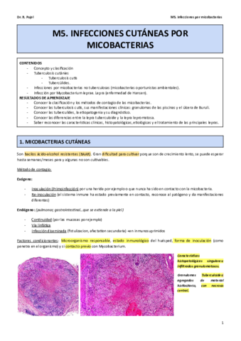 M5.pdf