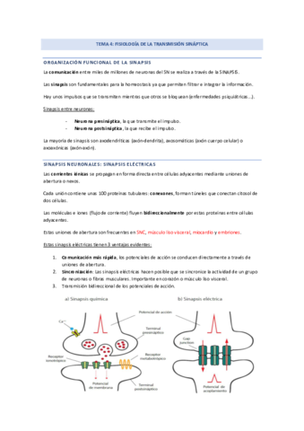 TEMA-4-modulo-1.pdf