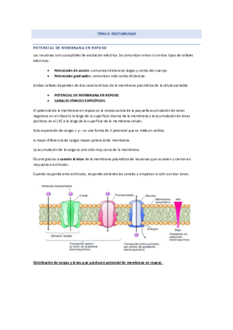 TEMA-3-modulo-1.pdf