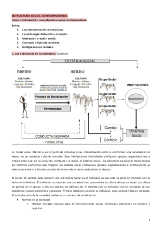 tema-1-estructuras-.pdf
