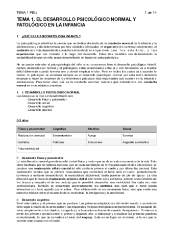 TEMA-1-PEIJ.pdf