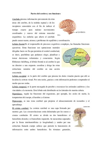 PRACTICA-5.pdf