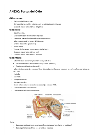 Anexo-Partes-del-Oido.pdf