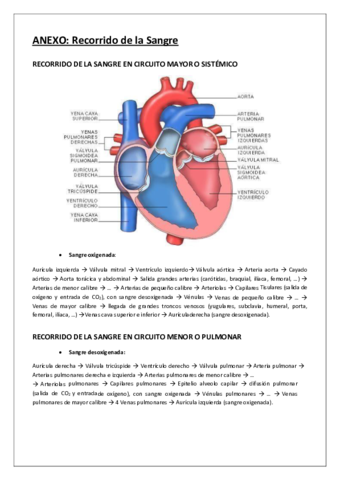 Anexo-Recorrido-de-la-Sangre.pdf