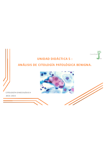 Abrir-carpeta-TEMA-10.pdf