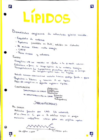 Lipidos.pdf