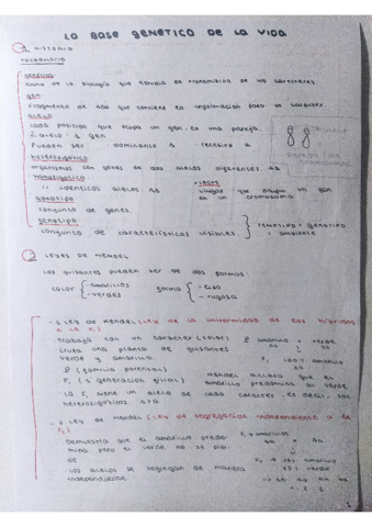 Genetica-Mendel-Teoria-Biologia-2-bach.pdf