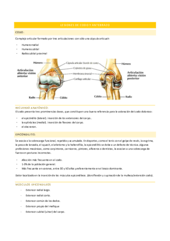CODO-Y-ANTEBRAZO.pdf