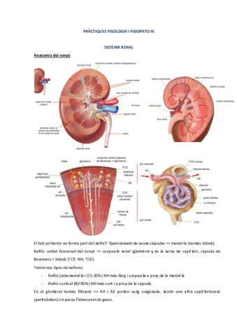 Practiques-fisio-III-RESUM.pdf