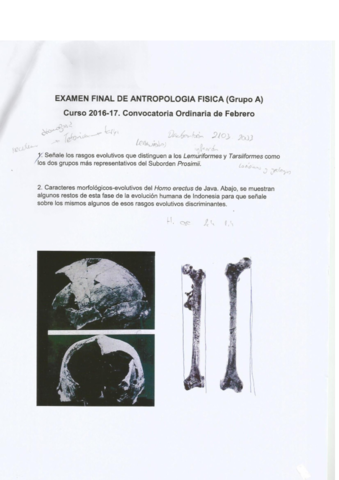 examen rosario.pdf