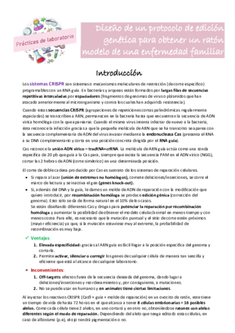 PRACTICAS-LABORATORIO-COMPLETAS.pdf