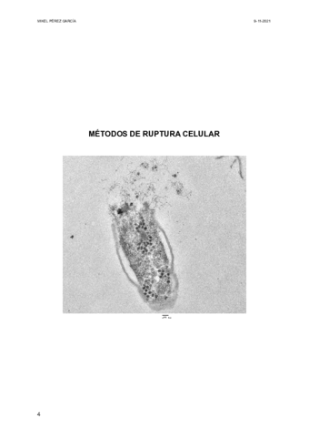 1-METODOS-DE-RUPTURA-CELULAR.pdf