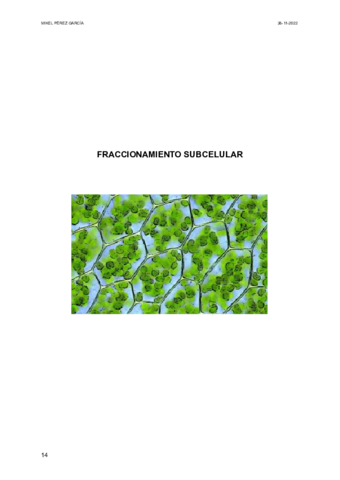 2-FRACCIONAMIENTO-SUBCELULAR.pdf