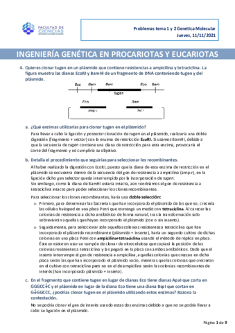 PROBLEMAS-TEMA-1-Y-2.pdf