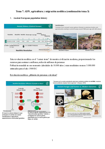 Tema-7-anatomia.pdf