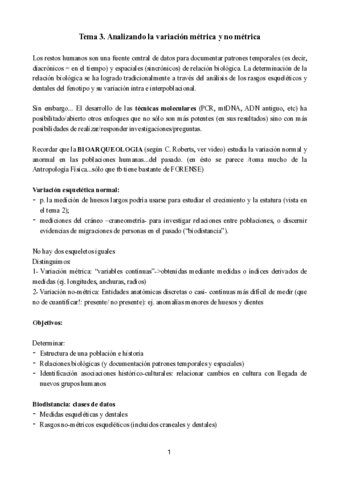 Tema-3-anatomia.pdf