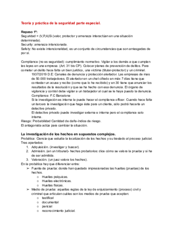 Teoria-y-practica-de-la-seguridad-especial-1.pdf