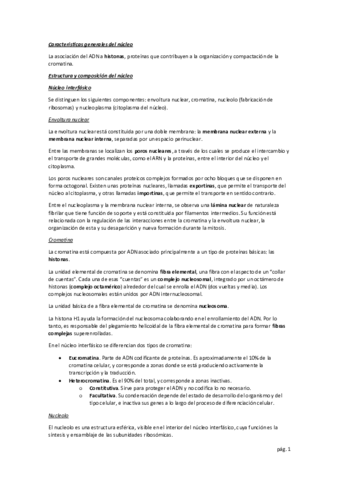 nucleo-de-la-celula-eucariota.pdf