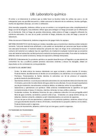 LIB-lab-quim-CASTELLANO.pdf