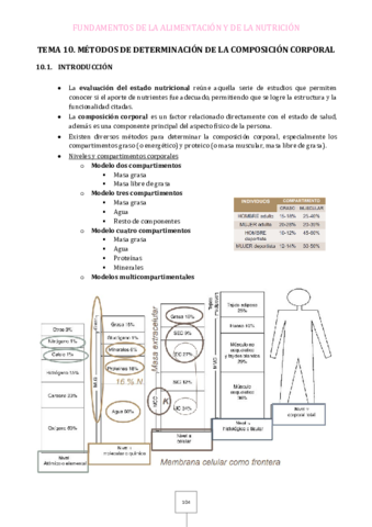 Tema-10.pdf