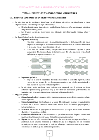 Tema-4.pdf