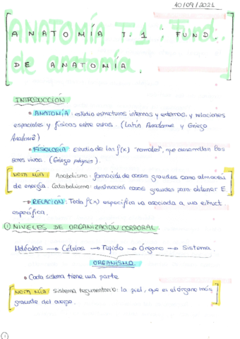 Apuntes-Fundamentos-de-anatomia-T1.pdf