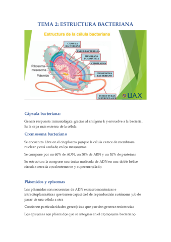 Tema-2-de-microbiologia.pdf