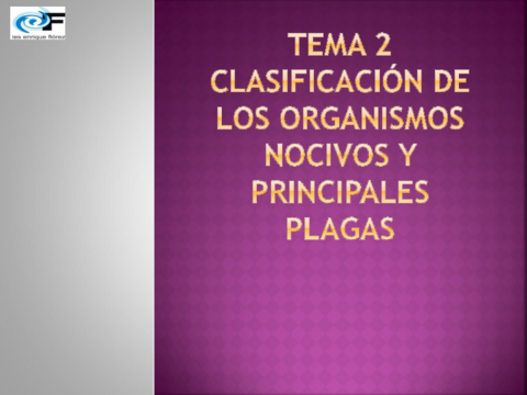 TEMA-2.pdf
