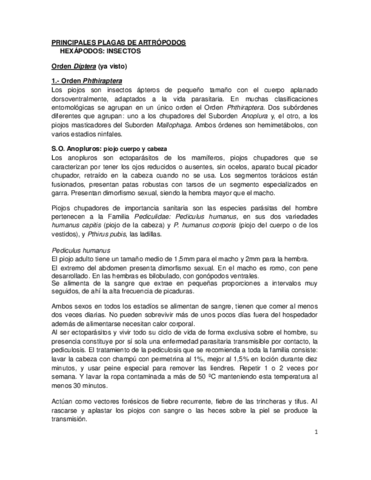 T3.pdf