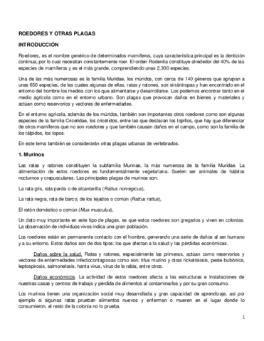 T4.pdf