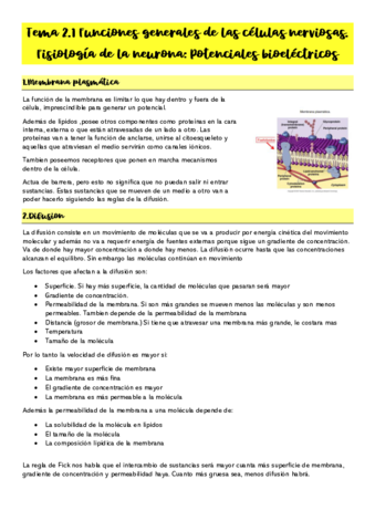 Tema-2.pdf