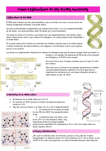 Tema-1.pdf