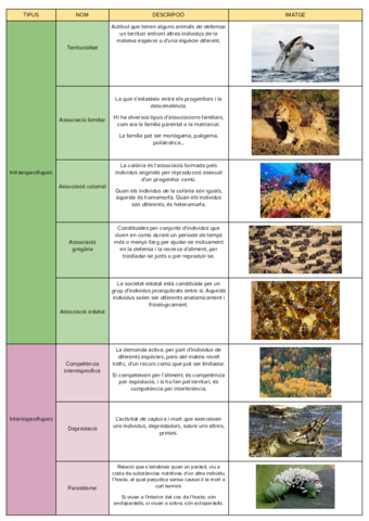 RELACIONS INTER I INTRAESPECÍFIQUES.pdf